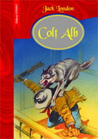 colt-alb